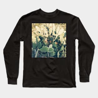 Cactus Garden II Long Sleeve T-Shirt